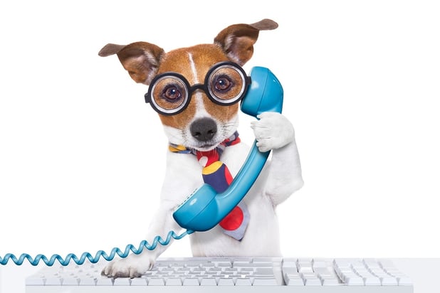 bigstock-Dog-On-The-Phone-89575421.jpg